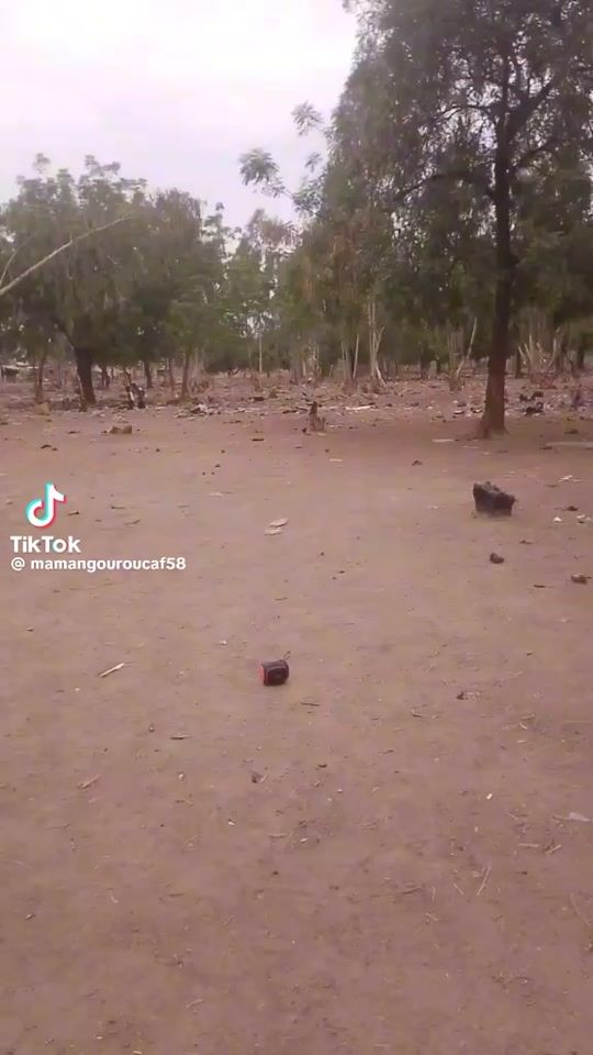 TikTok video thumbnail by anilson.mendes2