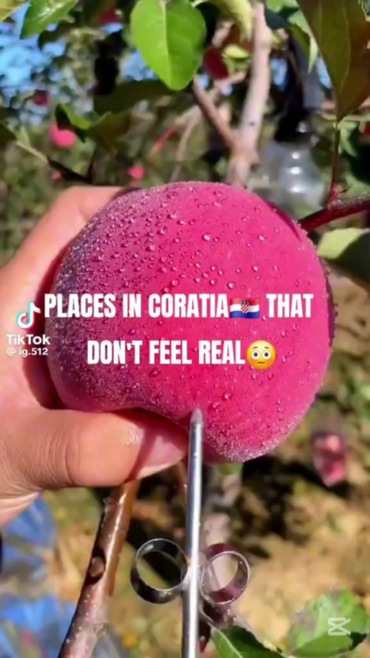TikTok video thumbnail by makso528