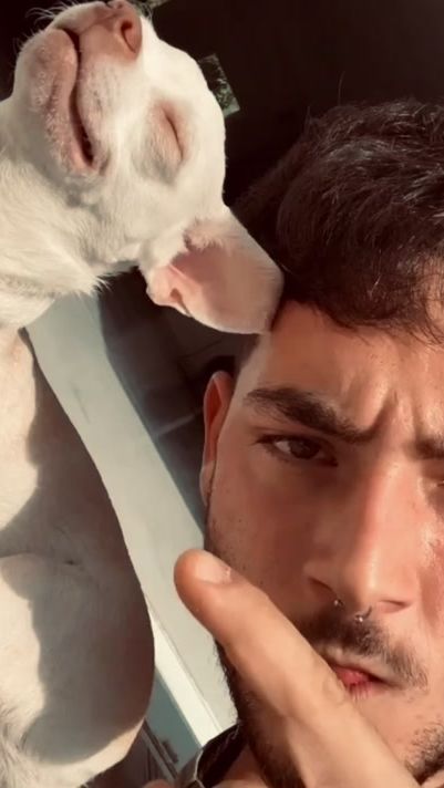 TikTok video thumbnail by niki_party