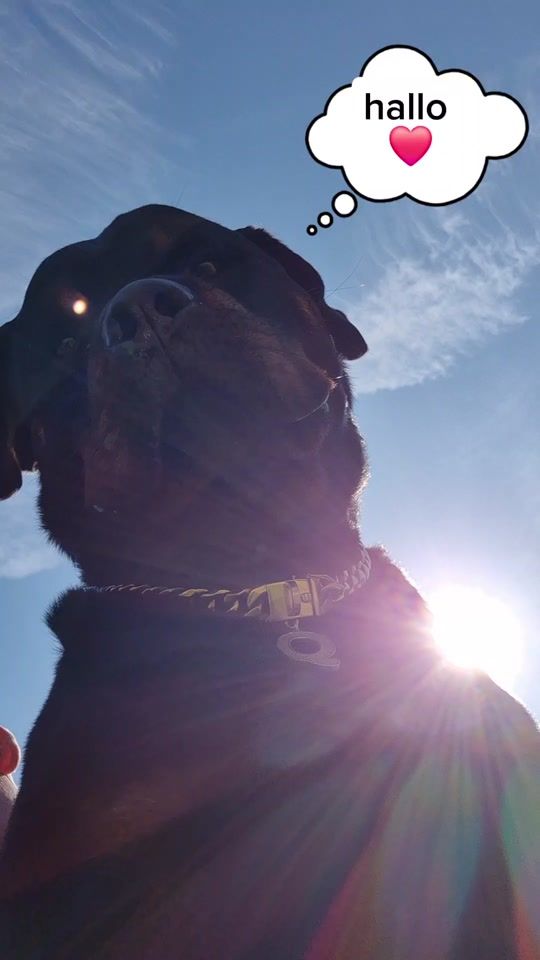 TikTok video thumbnail by miralkorkmaz