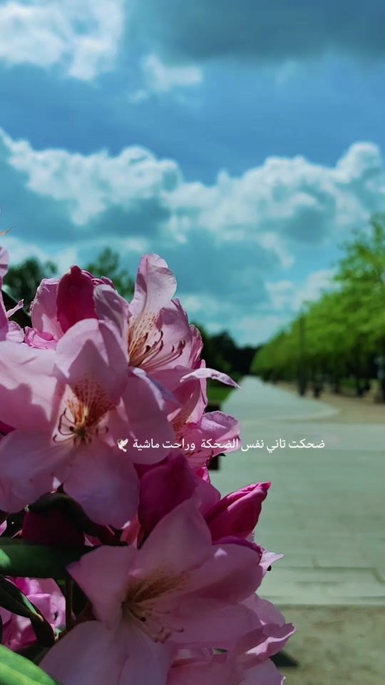 TikTok video thumbnail by natur.02