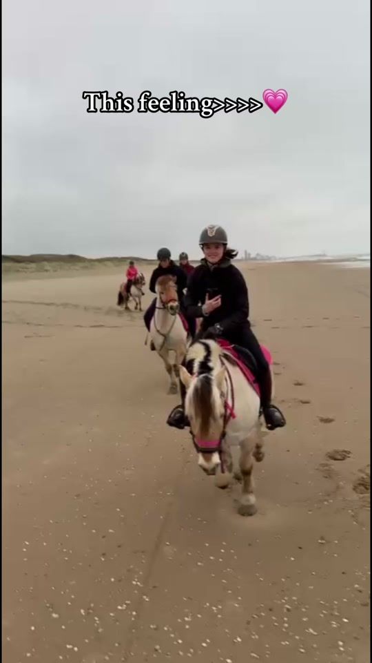 TikTok video thumbnail by allroundequestrian