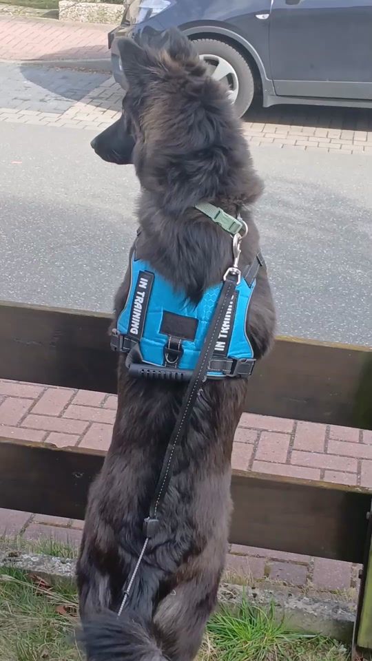 TikTok video thumbnail by jessicastender0