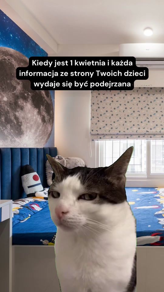 TikTok video thumbnail by sokolikisokolow