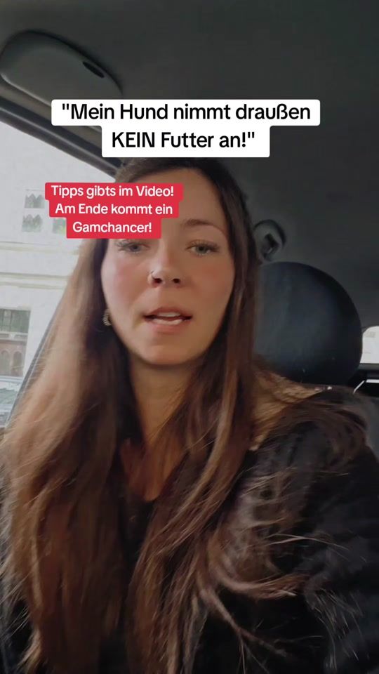 TikTok video thumbnail by littledogsecrets