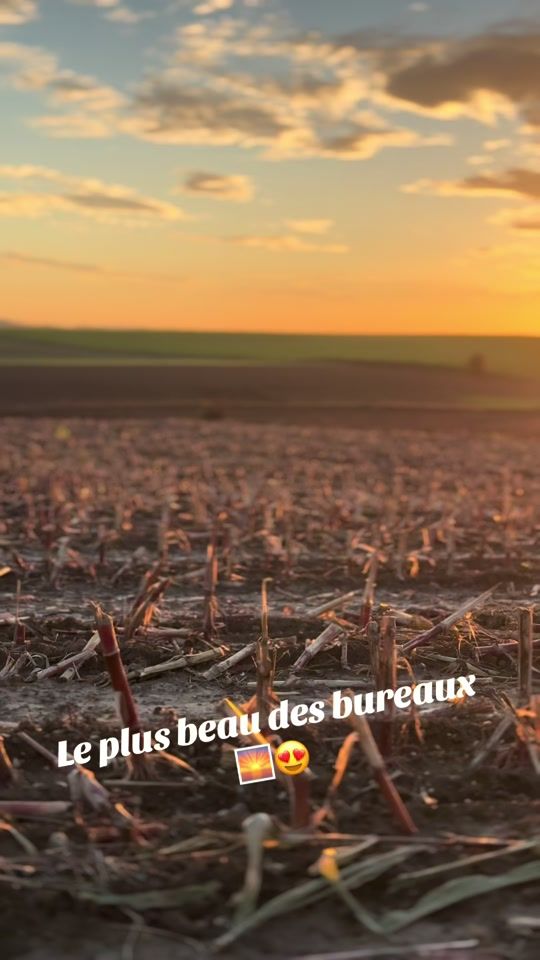 TikTok video thumbnail by agri6217