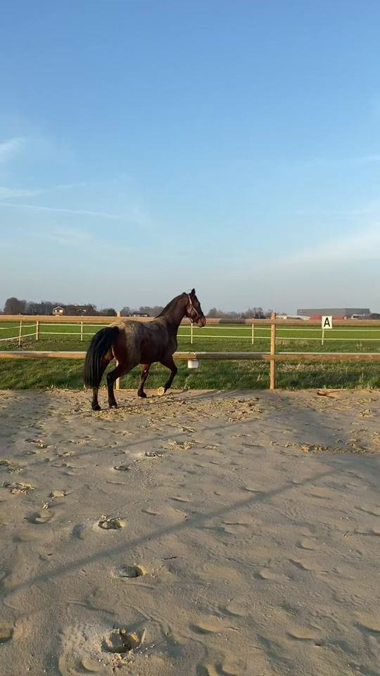 TikTok video thumbnail by eileenhupp
