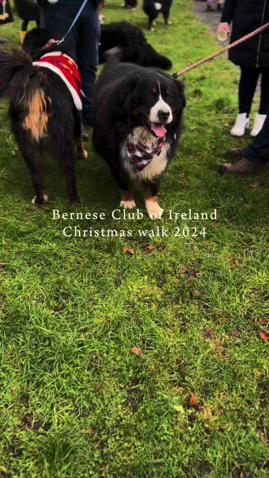 TikTok video thumbnail by kevinanddoris