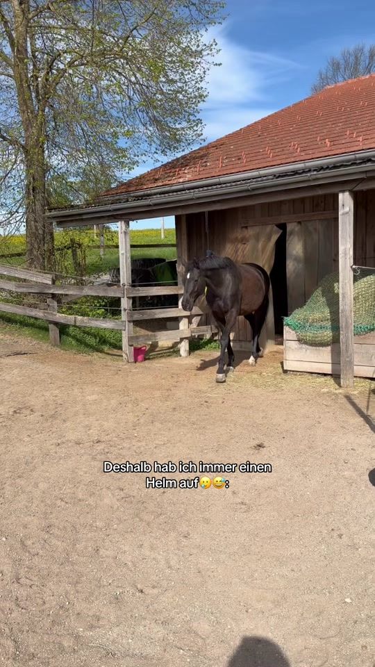 TikTok video thumbnail by lea_jell_working