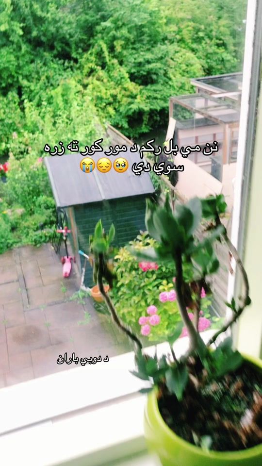 TikTok video thumbnail by malakajan30