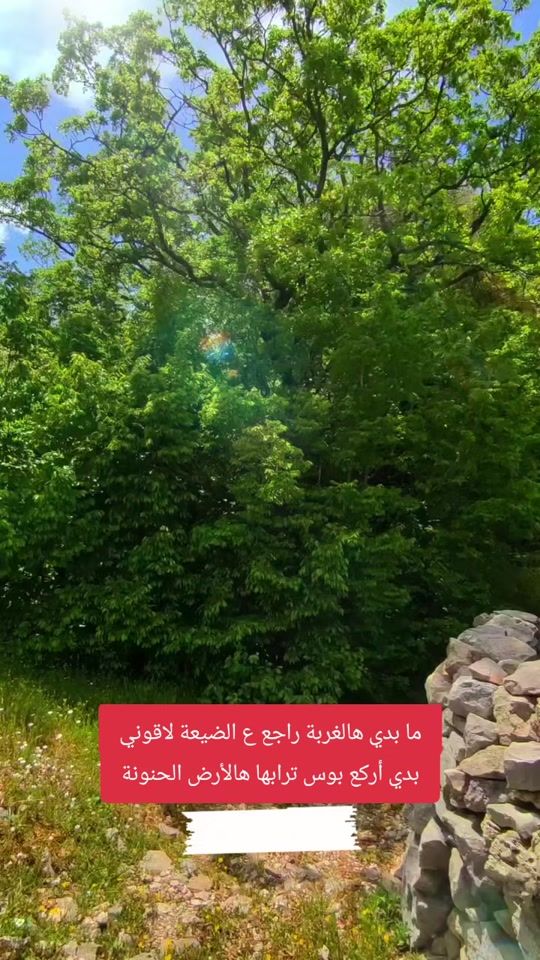 TikTok video thumbnail by taheer945
