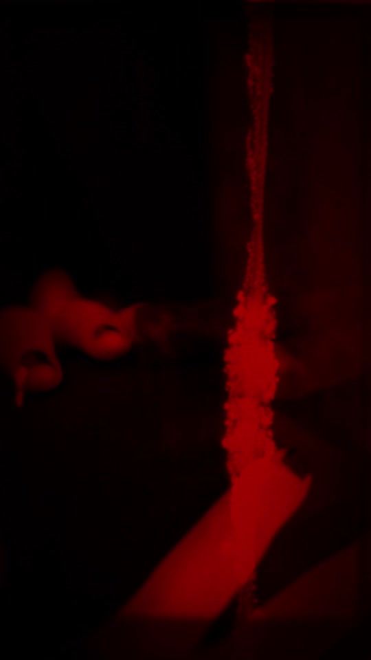 TikTok video thumbnail by dogmaband