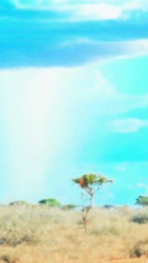 TikTok video thumbnail by falahfalah2425