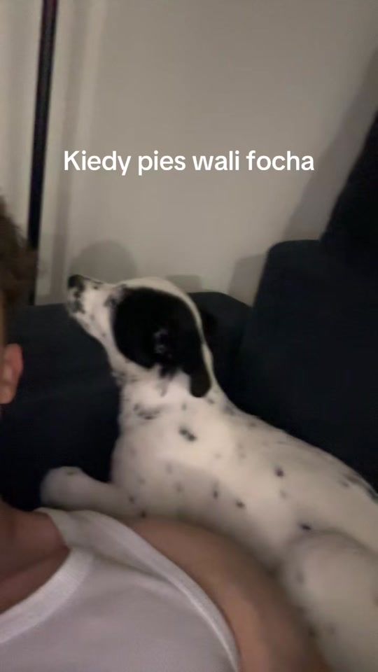 TikTok video thumbnail by dawid.twaro