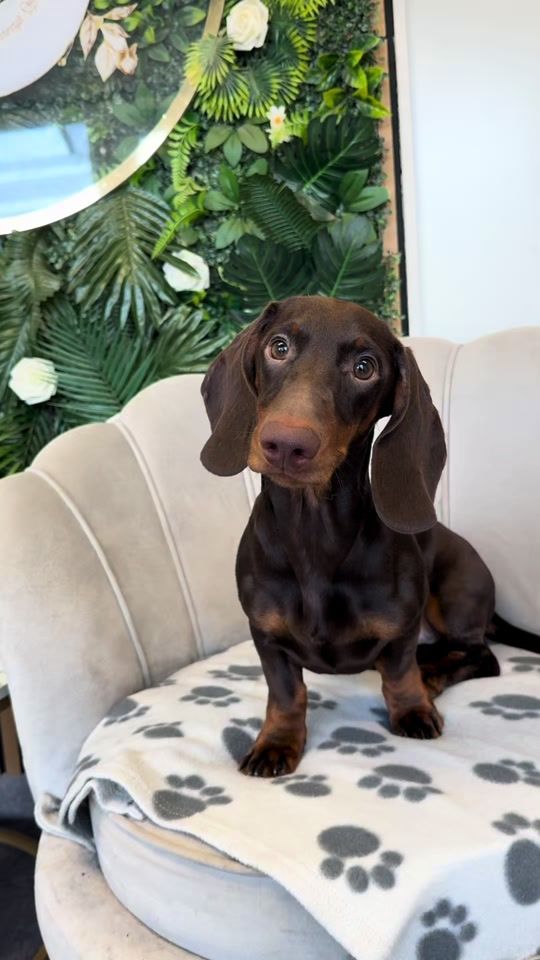 TikTok video thumbnail by iwanxoczko