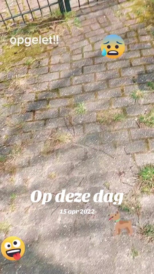 TikTok video thumbnail by ronnievanbenthem