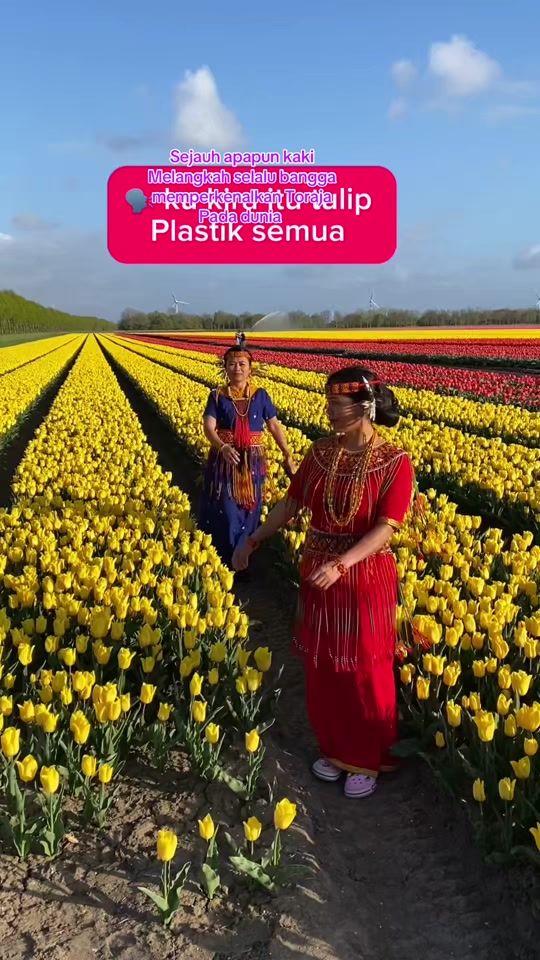 TikTok video thumbnail by indokreperepe47