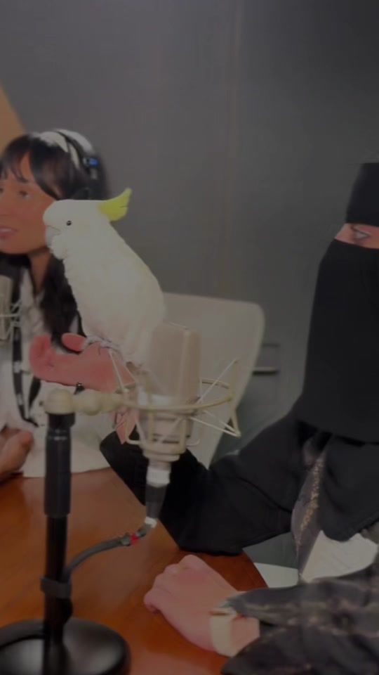 TikTok video thumbnail by me3ad_f16