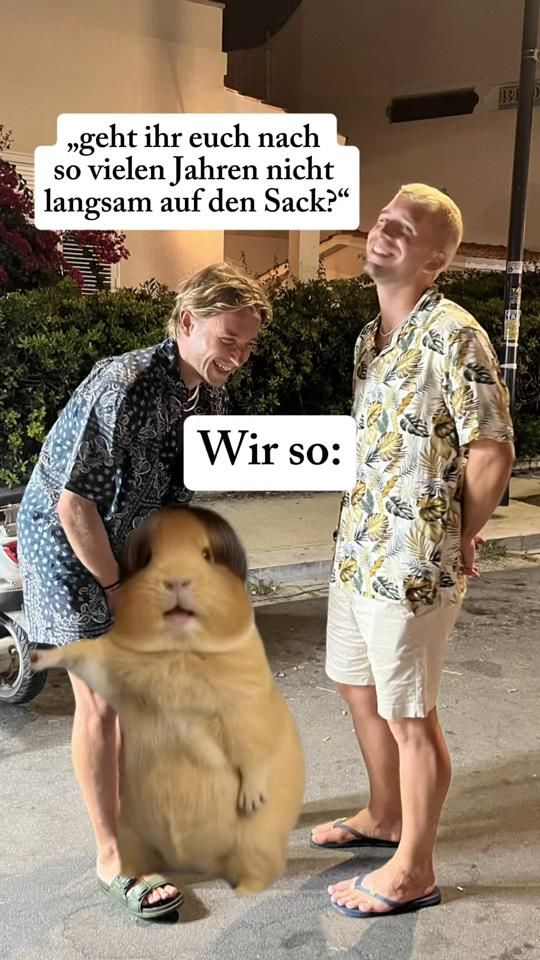 TikTok video thumbnail by volleypass