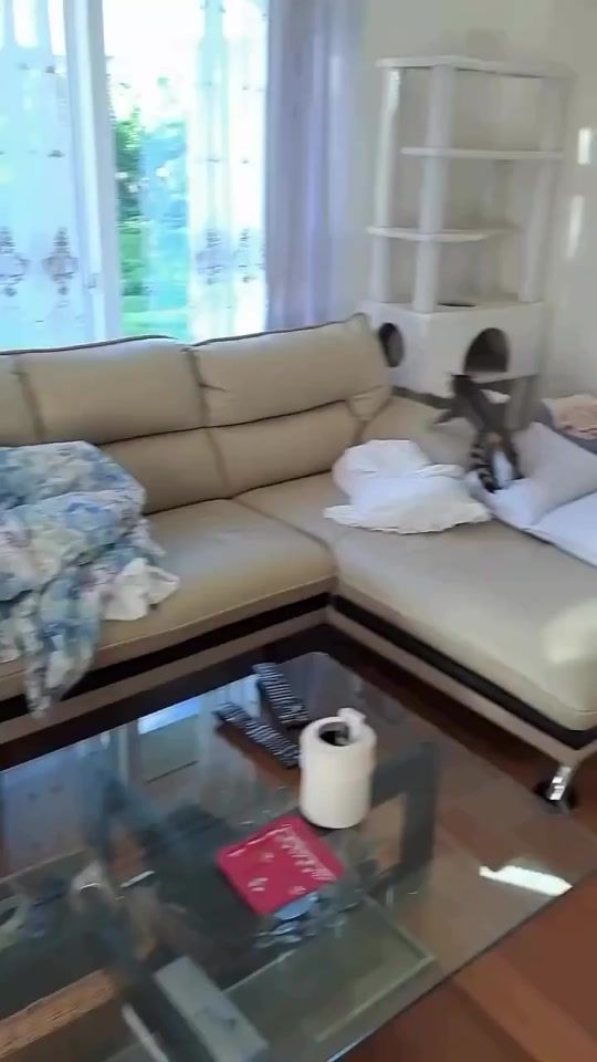 TikTok video thumbnail by tiktokcutcats