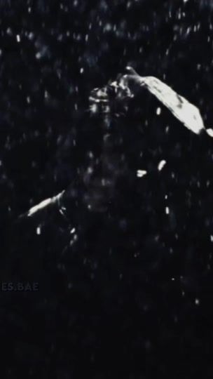 TikTok video thumbnail by chann1s.bae