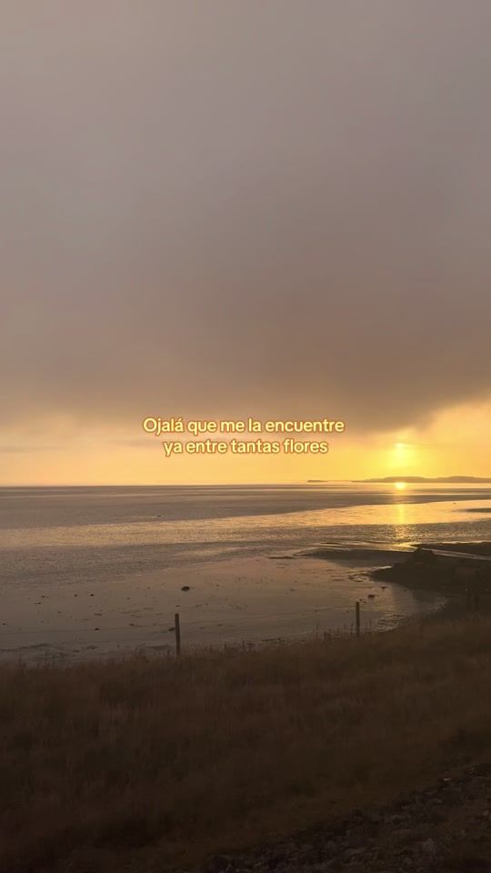 TikTok video thumbnail by _.222_.222_