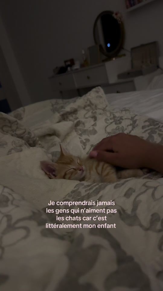 TikTok video thumbnail by liubov_bsf