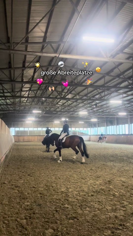 TikTok video thumbnail by cfb_dressage