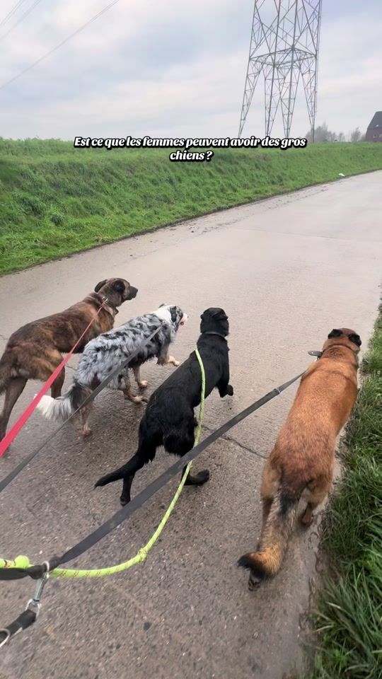 TikTok video thumbnail by laura.962