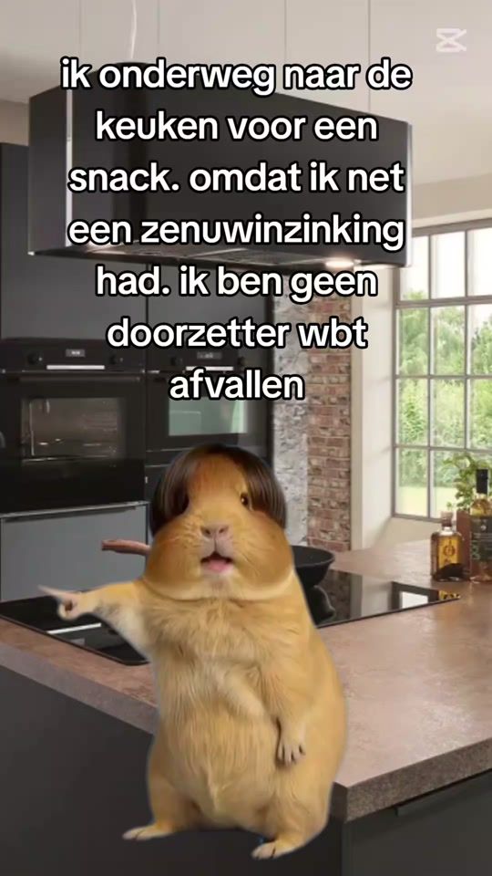 TikTok video thumbnail by potjelachen