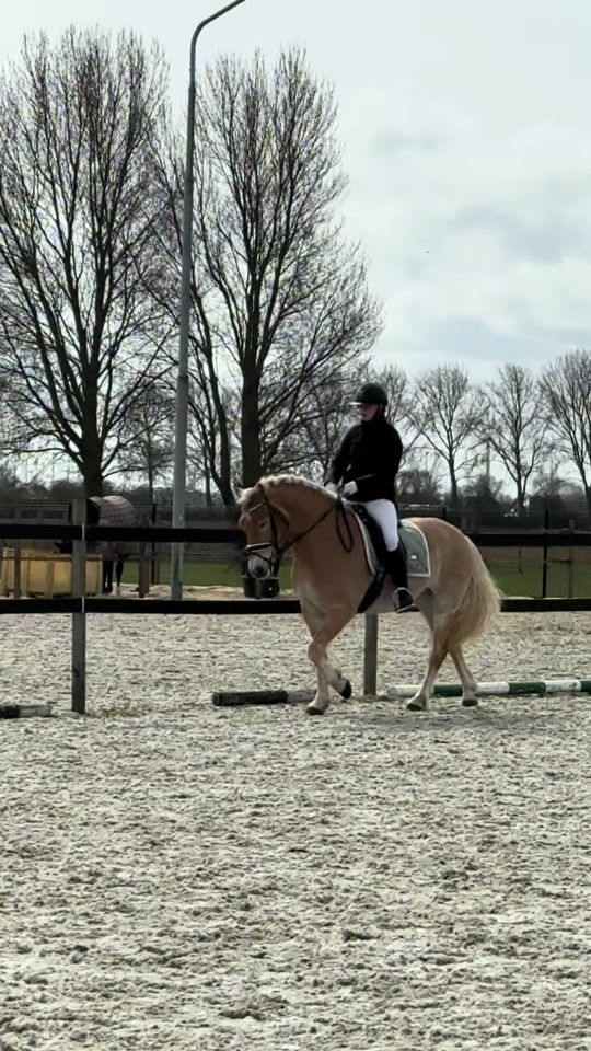 TikTok video thumbnail by loutsieex