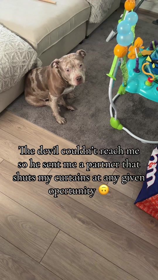 TikTok video thumbnail by miajakovlevs