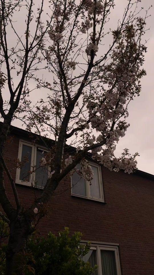 TikTok video thumbnail by m.s25_