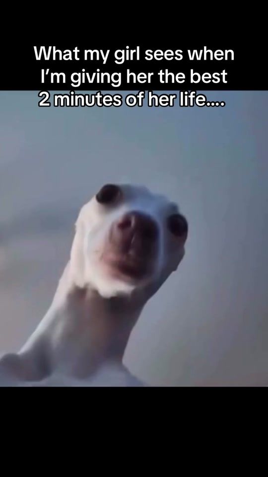TikTok video thumbnail by alanwood22