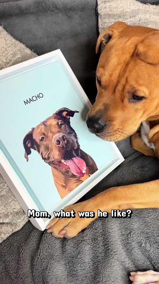 TikTok video thumbnail by kaja_macho