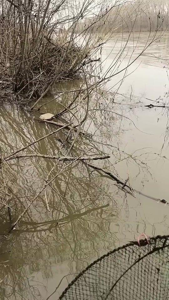 TikTok video thumbnail by angler_kh