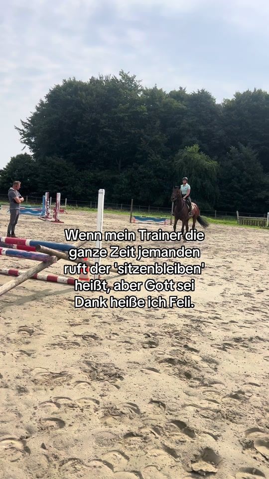 TikTok video thumbnail by ckf_horses