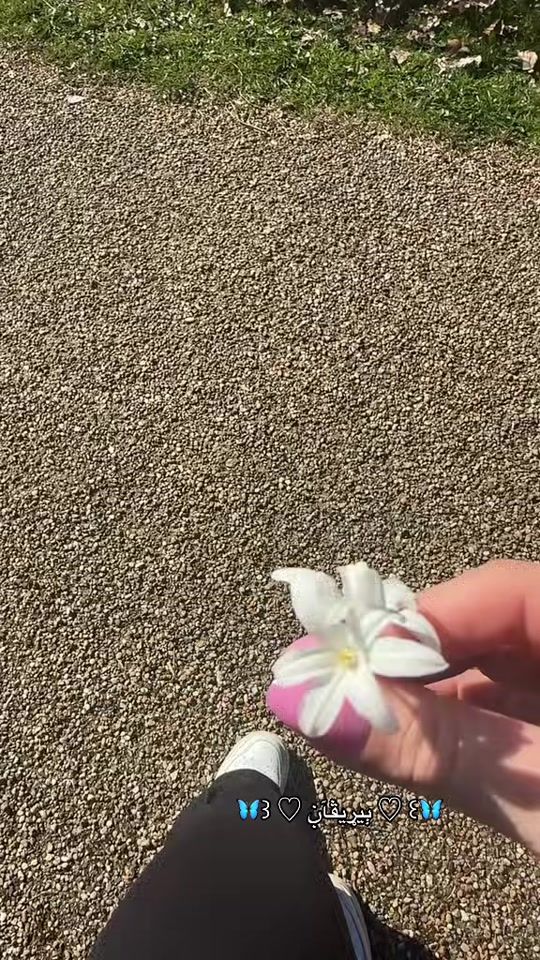 TikTok video thumbnail by berivan.kurder