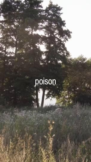 TikTok video thumbnail by julesversion13