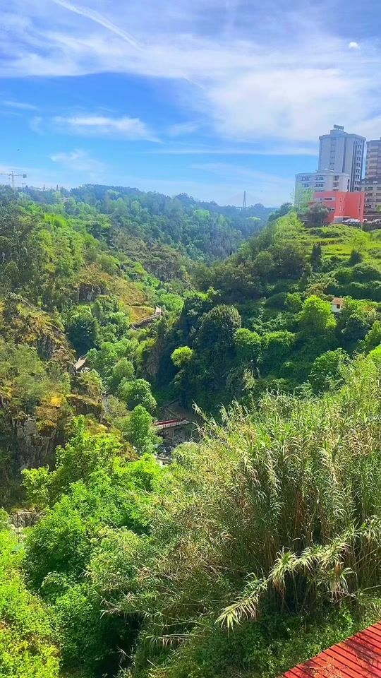 TikTok video thumbnail by _pedro_lima_