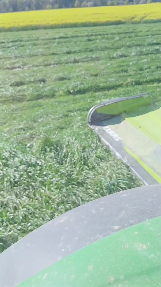 TikTok video thumbnail by farmerjunge