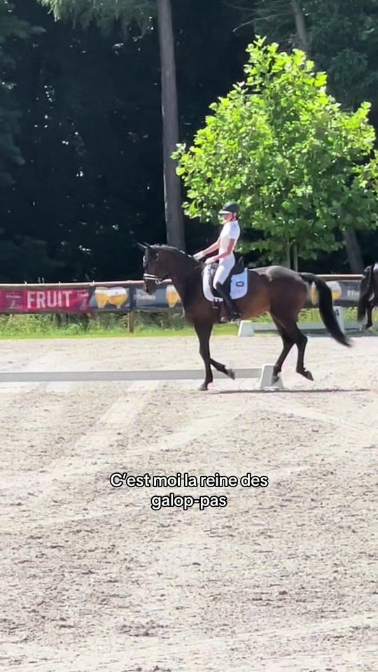 TikTok video thumbnail by sda_dressage