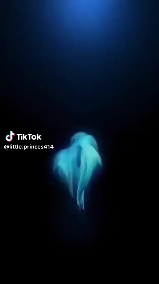 TikTok video thumbnail by linailieva