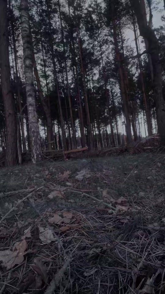TikTok video thumbnail by wolf.spectrum