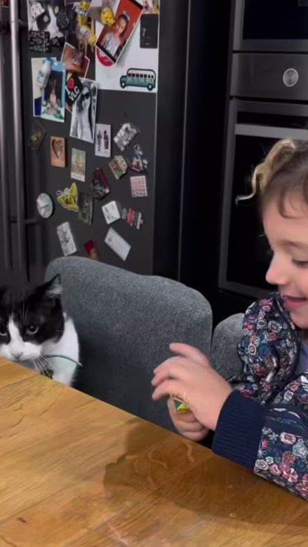 TikTok video thumbnail by funny.viedoo