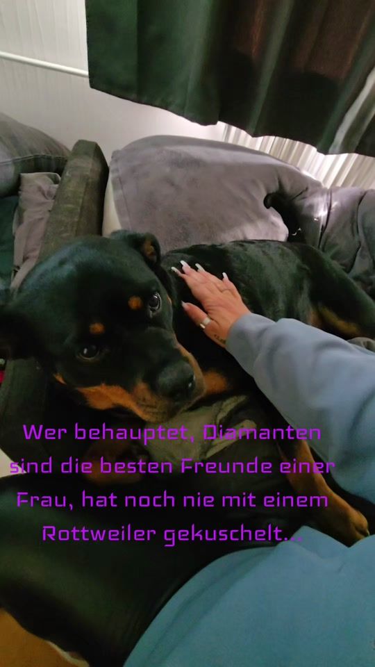 TikTok video thumbnail by luna.das.rottimdc