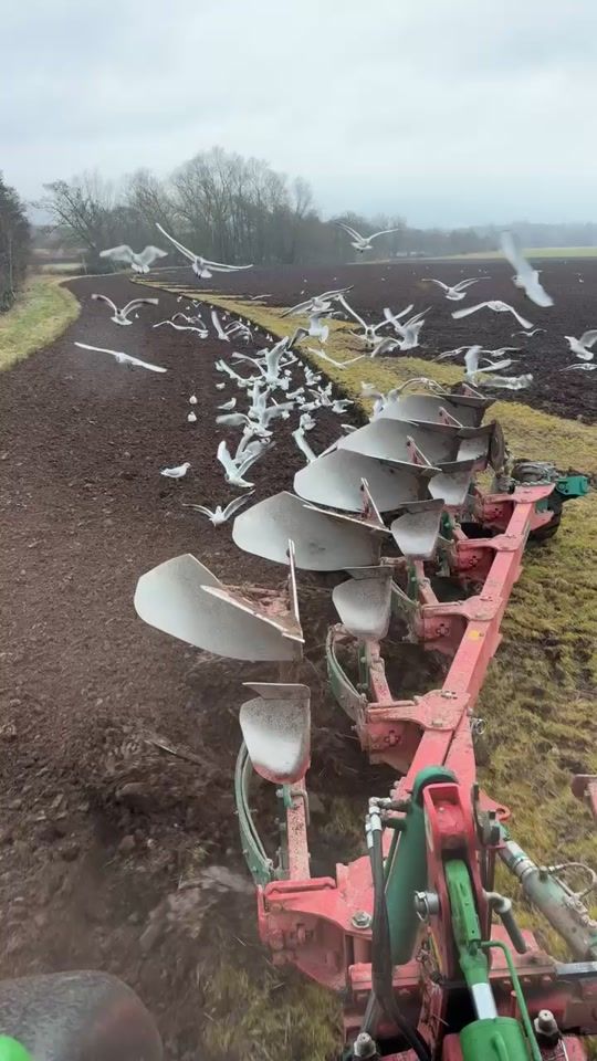 TikTok video thumbnail by big_ted97