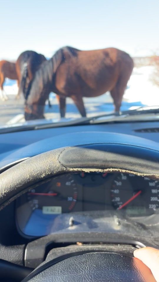 TikTok video thumbnail by jukagti7