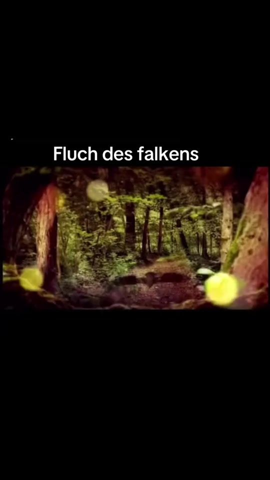 TikTok video thumbnail by michaelschonberger
