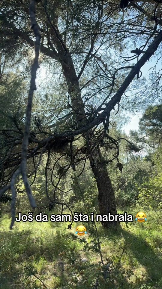 TikTok video thumbnail by kuma_lelee